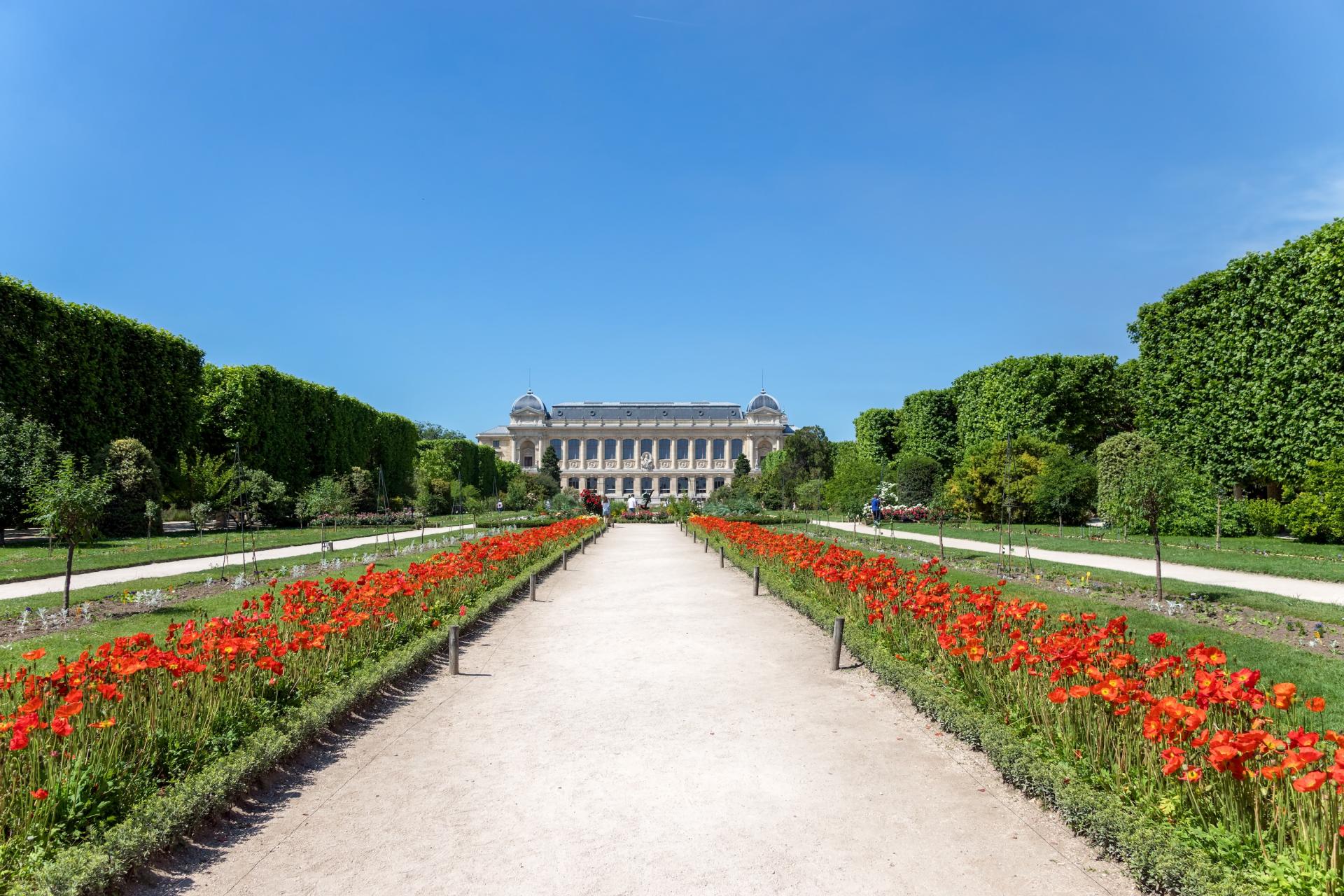 Discoveries and Wonders at the Jardin des Plantes in Paris